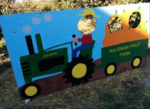 Colorful cutout of a tractor with a person holding a drink, labeled "Hausman Fruit Farm," set against a blue background.