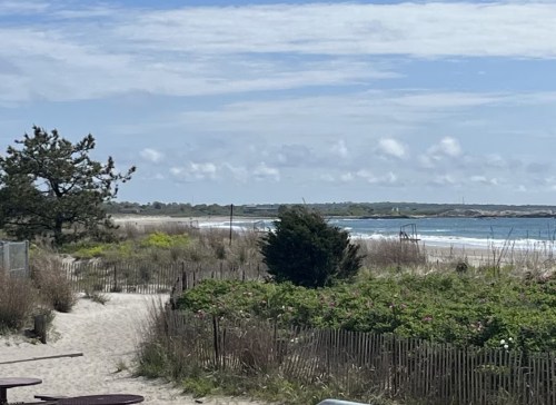 A serene beach scene with gentle waves, sandy dunes, and greenery under a partly cloudy sky.