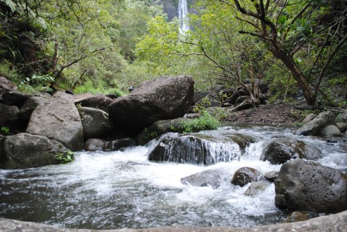 A serene stream flows over rocks, surrounded by lush greenery and trees, with a waterfall in the background.