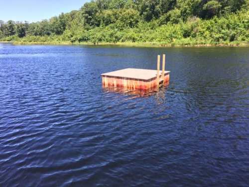 A small wooden platform floats on calm water, surrounded by lush green trees and a clear blue sky.