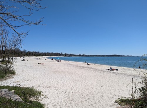A sunny beach scene with people relaxing on the sand and calm water under a clear blue sky.