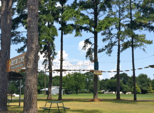 A treetop ropes course among tall pine trees, with a clear blue sky and grassy area below.