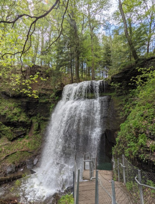 A cascading waterfall surrounded by lush green trees and a pathway leading to the water's edge.