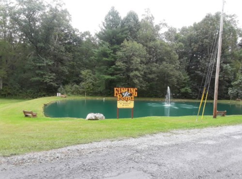 A serene fishing pond surrounded by trees, featuring a sign and a fountain, with benches nearby.