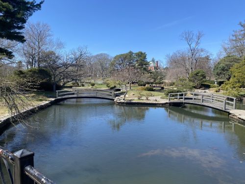A serene park scene featuring a calm pond, two wooden bridges, and trees under a clear blue sky.