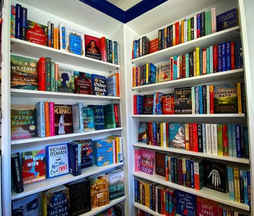 A cozy bookshelf filled with colorful book covers, showcasing a variety of genres and authors in a well-organized space.