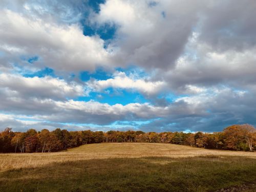 A serene landscape featuring a grassy field under a partly cloudy sky with autumn trees in the background.