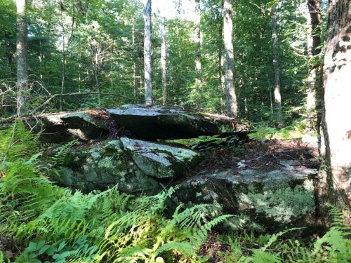 A large, moss-covered rock formation surrounded by trees and ferns in a sunlit forest.