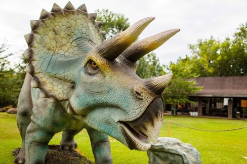 A large, realistic dinosaur statue of a triceratops in a grassy area with trees in the background.