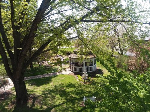 A serene garden scene featuring a gazebo surrounded by lush greenery and trees on a sunny day.