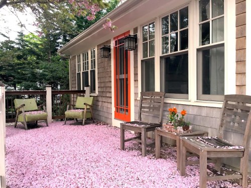 A cozy porch with wooden chairs, a vibrant orange door, and pink flower petals scattered on the ground.