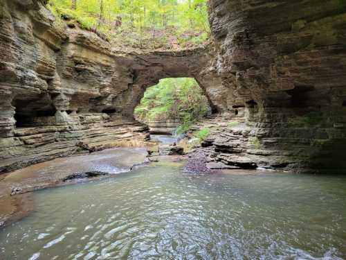 A serene river flows through a rocky canyon with a natural arch and lush greenery above.