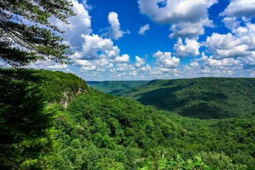 Lush green valleys and hills under a bright blue sky with fluffy white clouds.