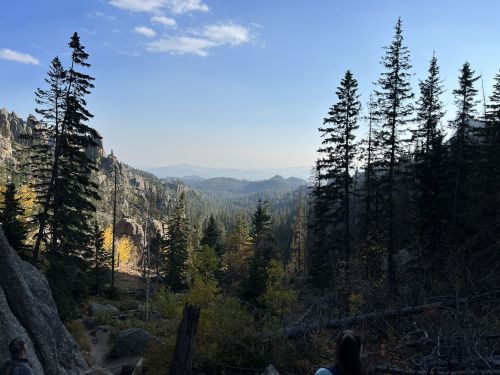 A scenic view of a forested valley with tall trees and distant mountains under a clear blue sky.