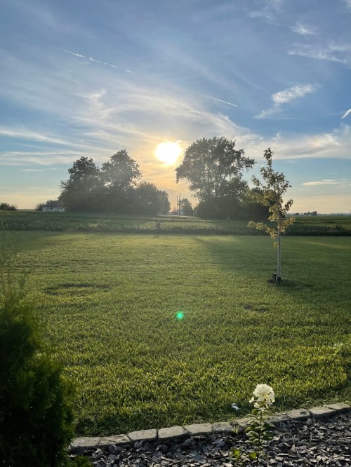 A serene landscape at sunset, featuring a grassy field, trees, and a clear sky with soft clouds.