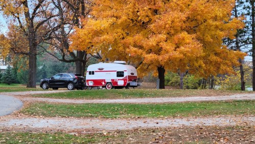 A vintage camper parked beside a vibrant orange tree in a scenic autumn landscape.