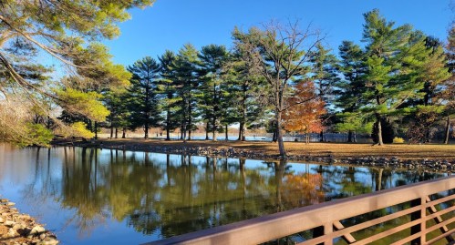A serene landscape featuring a calm pond reflecting trees and a clear blue sky, with a wooden railing in the foreground.