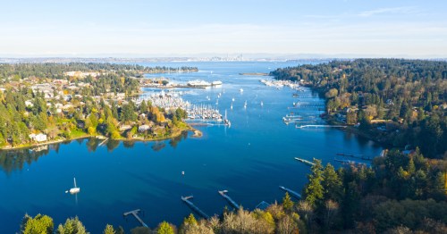 An aerial view of Bainbridge Island and multiple boats in the water.