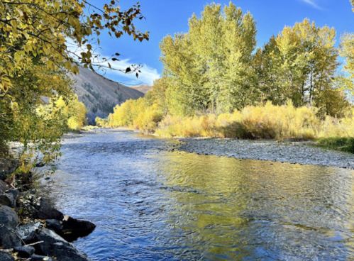 A serene river flows through a landscape of golden autumn trees under a clear blue sky.