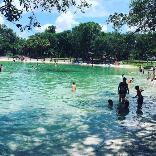 A sunny park scene with children swimming in a greenish pond, surrounded by trees and people enjoying the outdoors.