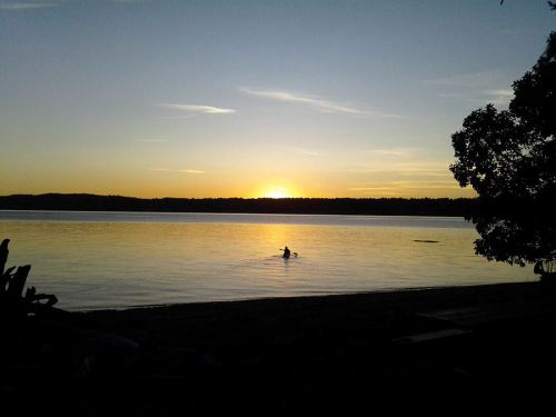 A serene sunset over a calm lake, with a person wading in the water and silhouettes of trees in the foreground.