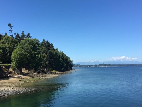 A serene coastal scene with clear blue water, lush green trees, and distant mountains under a bright blue sky.