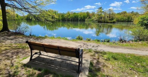 A peaceful lakeside scene featuring a wooden bench overlooking calm water and lush green trees under a blue sky.