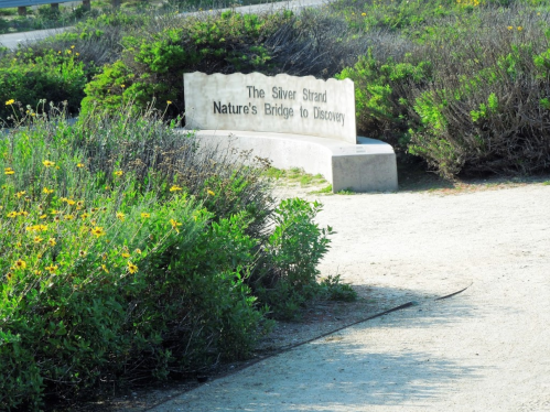 A stone bench with the inscription "The Silver Strand Nature's Bridge to Discovery" surrounded by greenery and flowers.