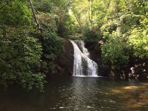 A serene waterfall cascading into a clear pool, surrounded by lush green trees and foliage.