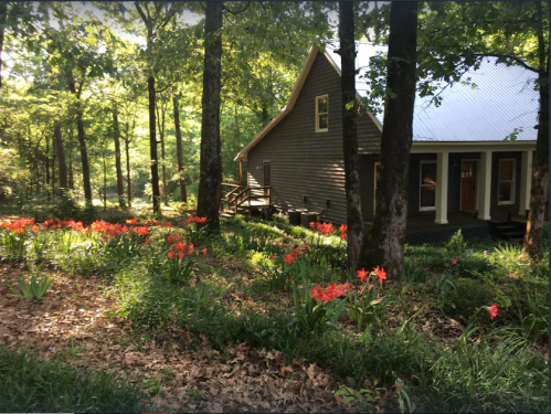 A cozy wooden house surrounded by lush greenery and vibrant orange flowers in a serene forest setting.