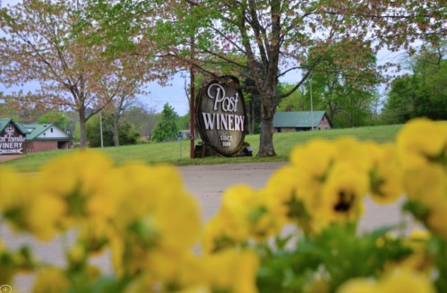 A sign for Post Winery surrounded by blooming yellow flowers and green trees on a cloudy day.