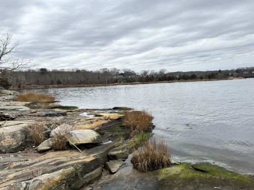 A rocky shoreline with sparse vegetation, overlooking a calm body of water under a cloudy sky.