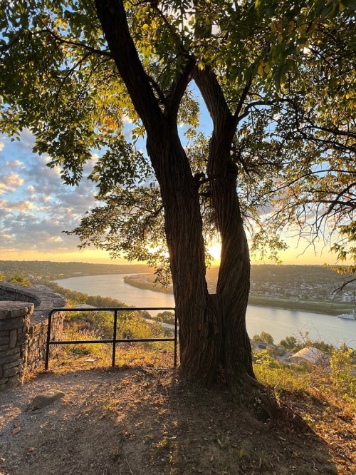 A scenic view of a river at sunset, framed by two trees and a stone wall in the foreground.