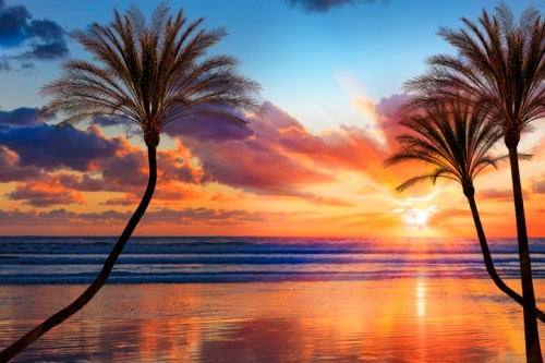 Sunset over the ocean with palm trees silhouetted against a colorful sky and reflective water.