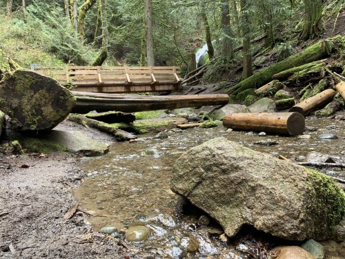 A serene forest scene with a small stream, rocks, fallen logs, and a wooden bridge in the background.