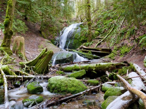 A serene waterfall cascades over moss-covered rocks, surrounded by lush greenery and fallen logs in a tranquil forest setting.
