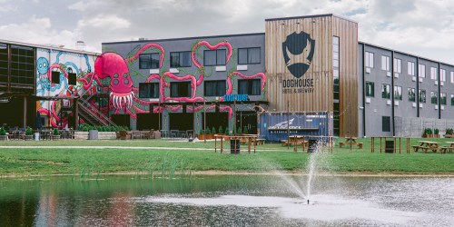 A modern building with colorful octopus murals, surrounded by green grass and a pond with a fountain.