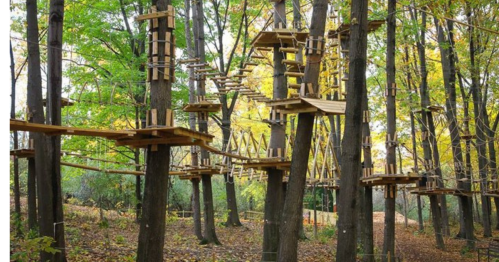 A treetop adventure course with wooden platforms and bridges among trees in a colorful autumn forest.
