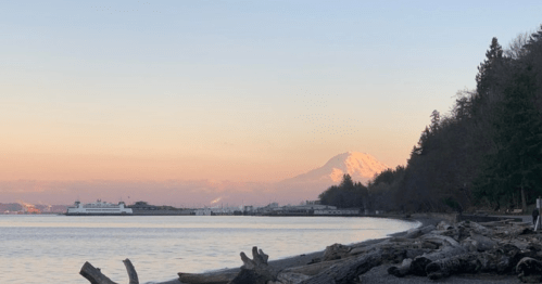 A serene beach scene at sunset, with a mountain in the background and driftwood along the shore.