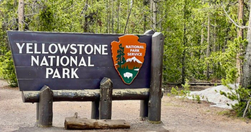 Sign for Yellowstone National Park, featuring the park's logo and surrounded by lush greenery.