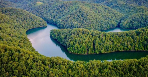 Aerial view of a winding river surrounded by lush green forests and rolling hills.