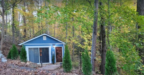 A small blue cabin surrounded by trees and greenery in a forested area during autumn.