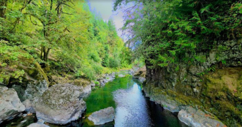 A serene river flows through a lush green landscape, surrounded by trees and rocky banks.