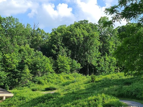 Lush green landscape with trees and shrubs under a partly cloudy sky. A winding path is visible in the foreground.
