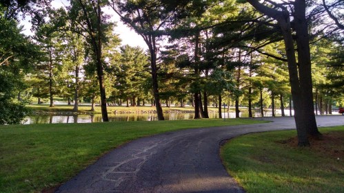 A winding path through a lush green park with tall trees and a serene pond in the background.