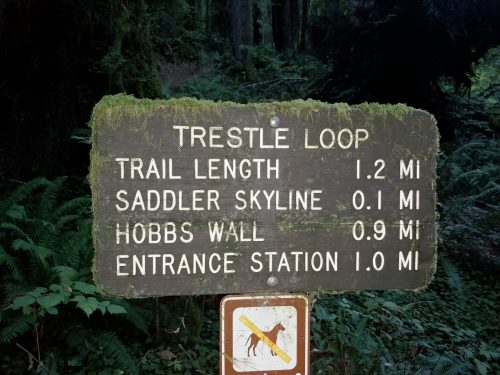 Trail sign indicating distances for Trestle Loop, Saddler Skyline, Hobbs Wall, and Entrance Station in a forested area.