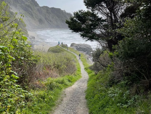 A winding path leads to a rocky coastline, surrounded by greenery and cliffs under a cloudy sky.
