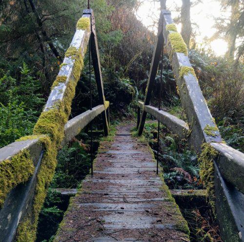 A moss-covered wooden bridge spans a lush, green forest path, surrounded by trees and foliage.