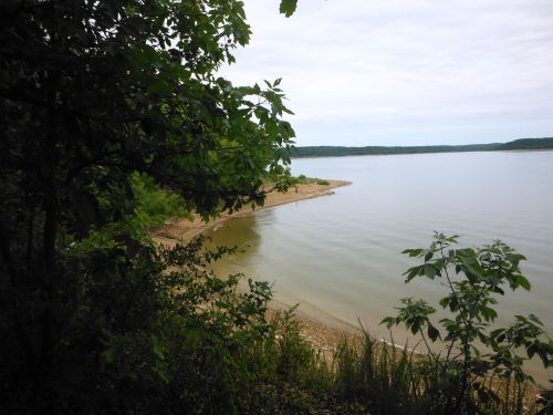 A serene view of a calm lake surrounded by trees and a sandy shore under a cloudy sky.