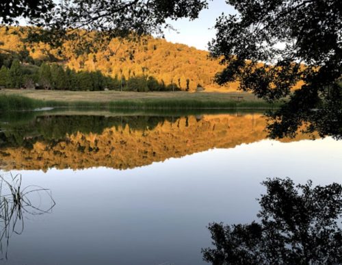 A serene lake reflecting a golden hillside and trees at sunset, framed by dark foliage.